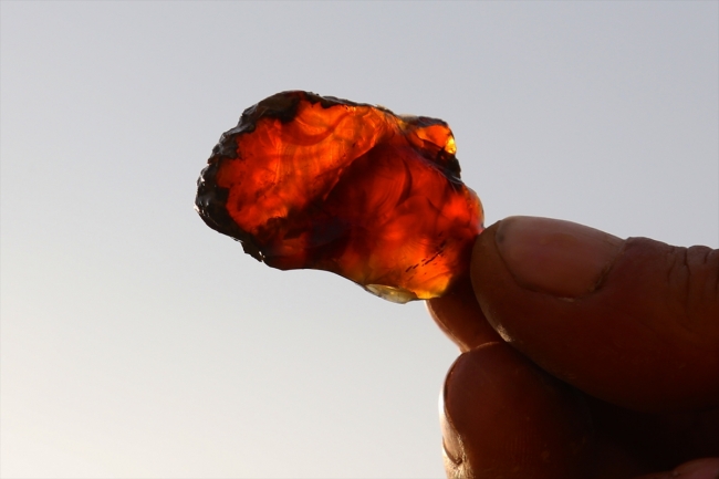 Türkiye'de ilk kez 'doğal kehribar' tespit edilen saha inceleniyor